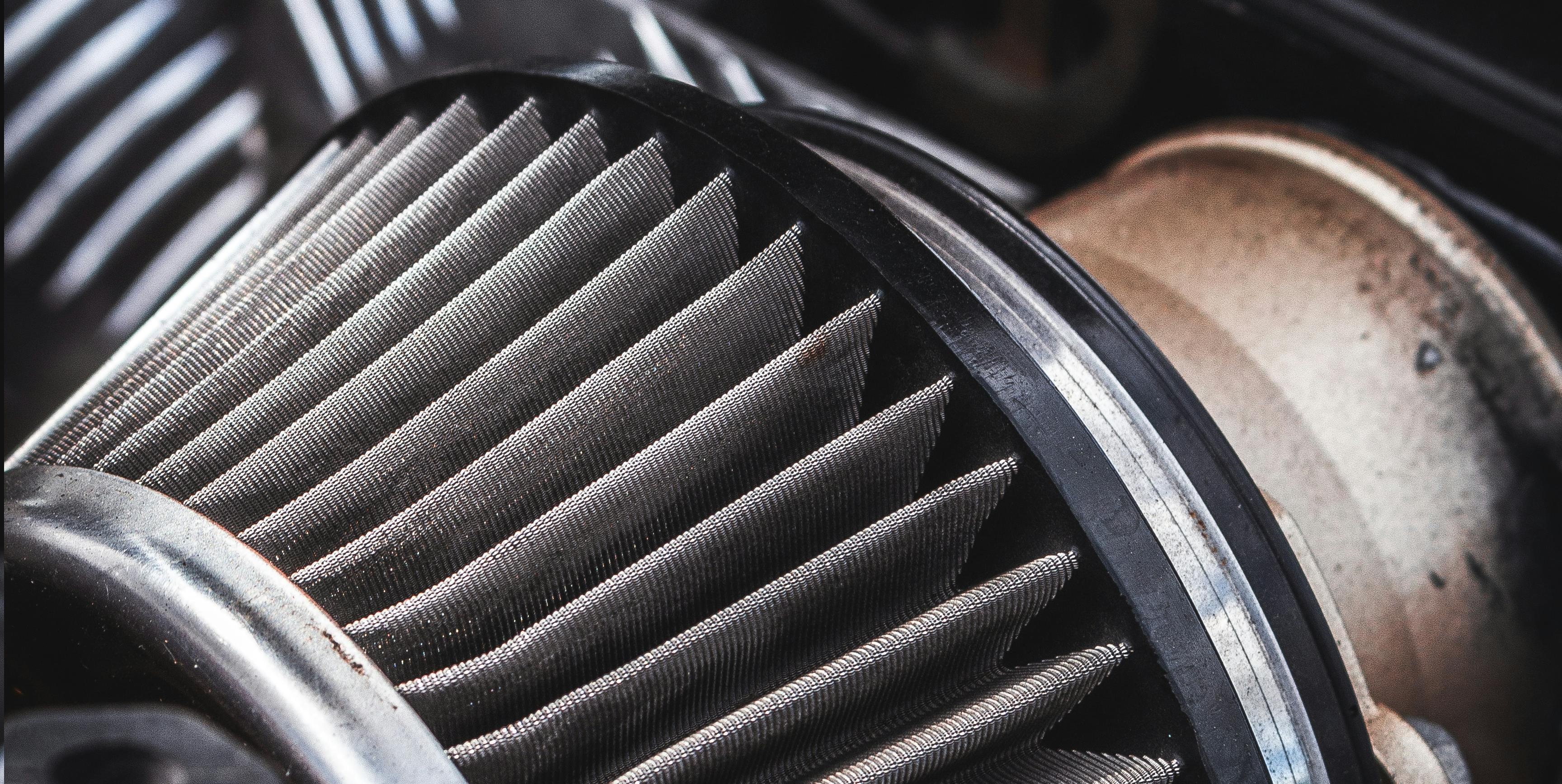 Picture by Benjamin Walsham